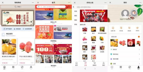 开拓数字销路，电商建站服务神助攻数码商城