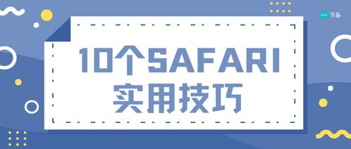iphone浏览器你真的会用吗 10个 safari 实用小技巧送给你